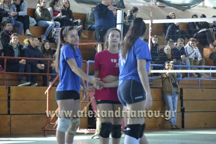 volley_1o-alexandreias-melikis2018 (28)